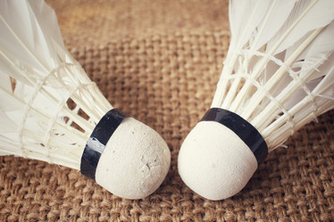 Similar image 8795956