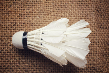 Similar image 8795958