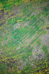 Similar image 8796018