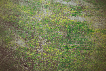 Similar image 8796025