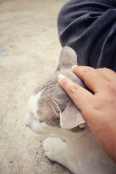 Similar image 8796073