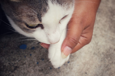 Similar image 8796076