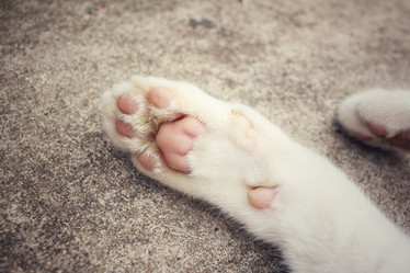 Similar image 8796175