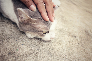 Similar image 8796178