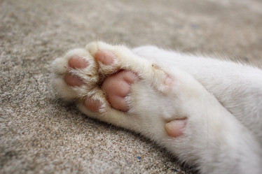 Similar image 8796180