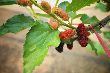 Similar image 8796236