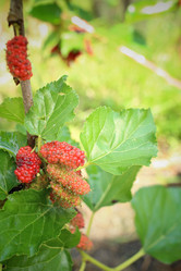 Similar image 8796242