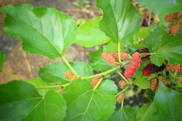 Similar image 8796244