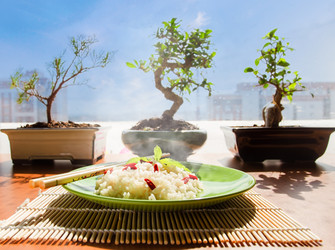 Similar image 8796440