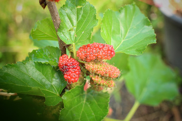 Similar image 8796500