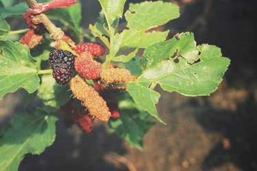 Similar image 8796512