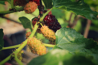 Similar image 8796521