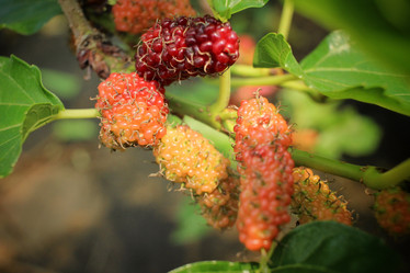 Similar image 8796523