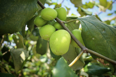 Similar image 8796525