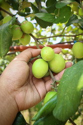 Similar image 8796529