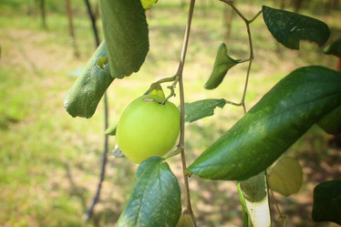 Similar image 8796532