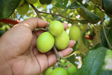 Similar image 8796534