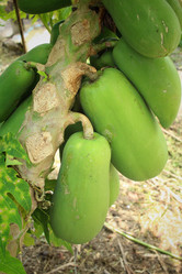 Similar image 8796536