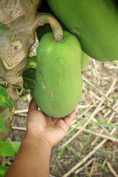 Similar image 8796538