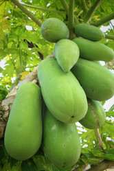 Similar image 8796540