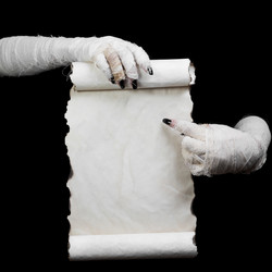 Similar image 8796579