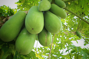 Similar image 8796627