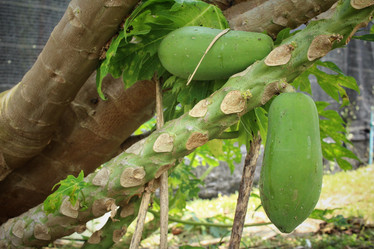 Similar image 8796629