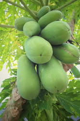 Similar image 8796631