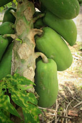 Similar image 8796633