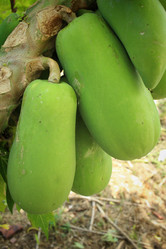 Similar image 8796635