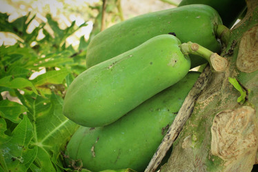 Similar image 8796637