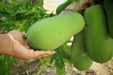 Similar image 8796638