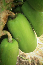 Similar image 8796640