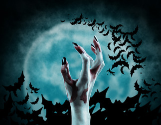 Similar image 8796657