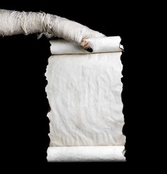 Similar image 8796662