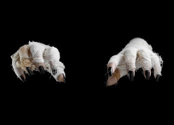 Similar image 8796670