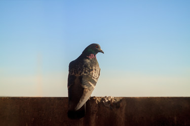 Similar image 8796672