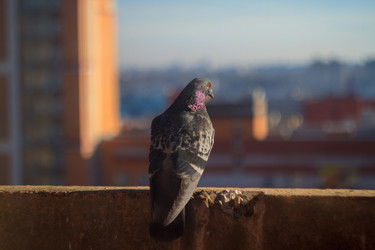 Similar image 8796676