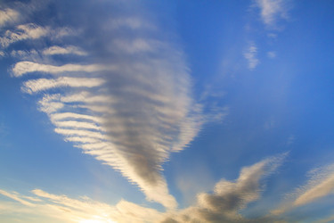 Similar image 8796686