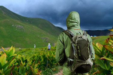 Similar image 8796754