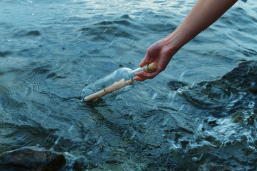 Similar image 8796834