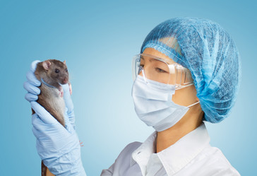 Similar image 8796855