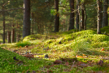 Similar image 8796932