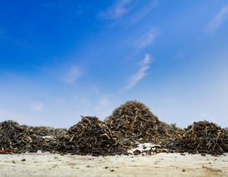 Similar image 8797113