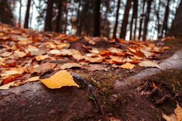 Similar image 8797320