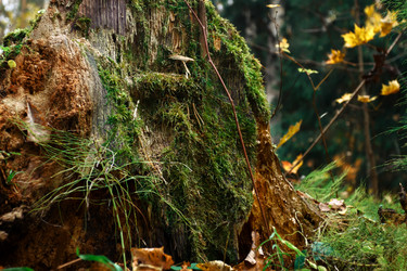 Similar image 8797326