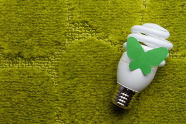 Similar image 8797431