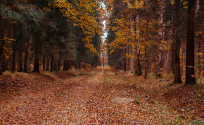 Similar image 8798600