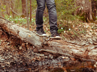 Similar image 8798673