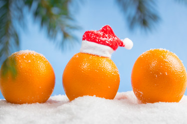 Similar image 8798899